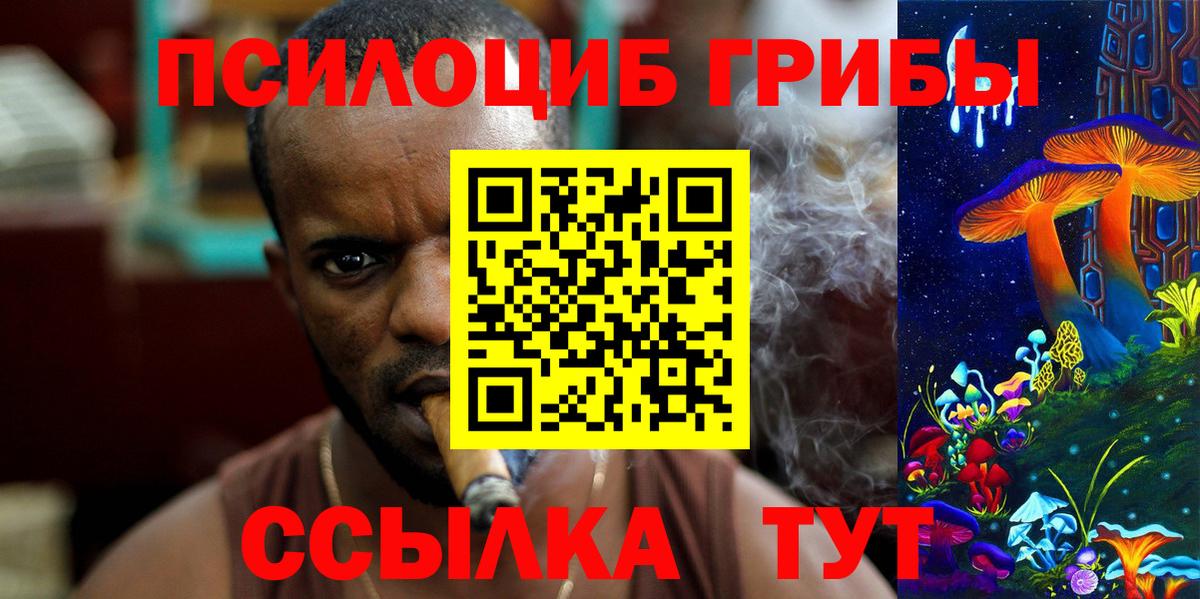 Алейск  даркнет сайт  Вход с VPN  Галлюциногенные грибы Psilocybine cubensis 