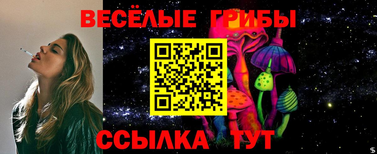 Псилоцибиновые грибы ЛСД Алейск